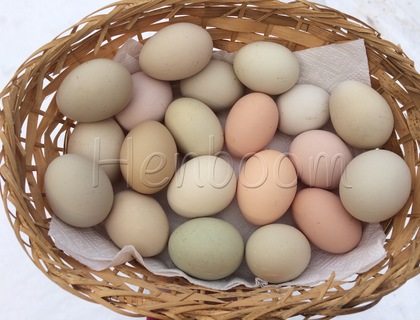 Яйцо Льюянг, Lueyang eggs